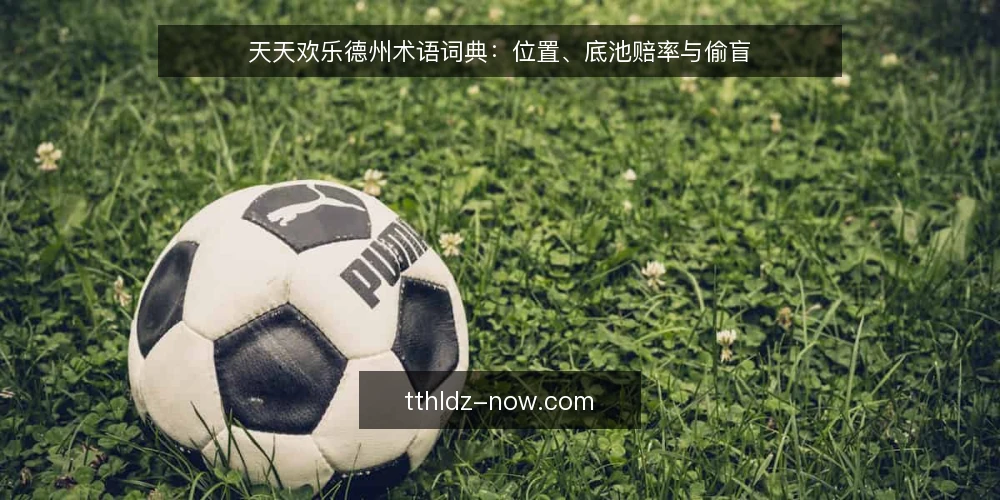 天天欢乐德州术语词典：位置、底池赔率与偷盲 — 天天欢乐德州有哪些核心术语？ 配图