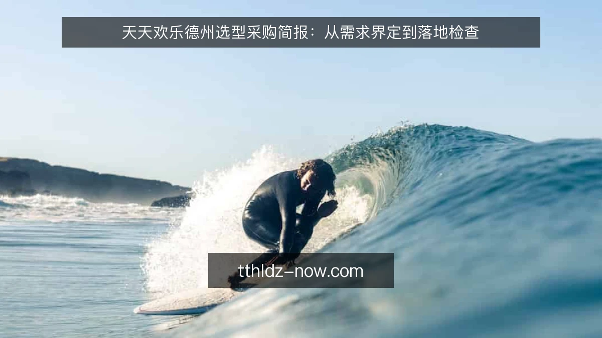 天天欢乐德州选型采购简报：从需求界定到落地检查